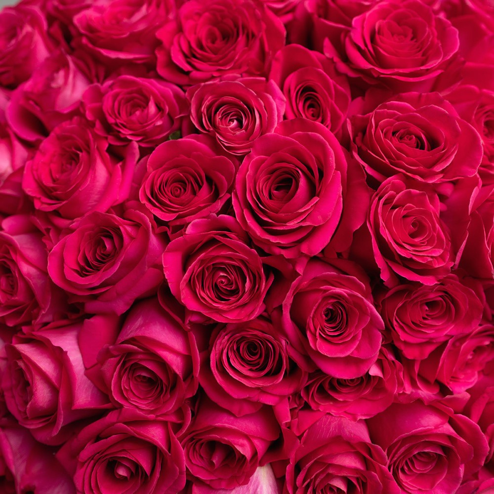 Букет из 3 красных роз 60 см с лентой, Эквадор